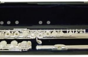 Signature Music 17 Open Hole Silver Low B Flute 2821S